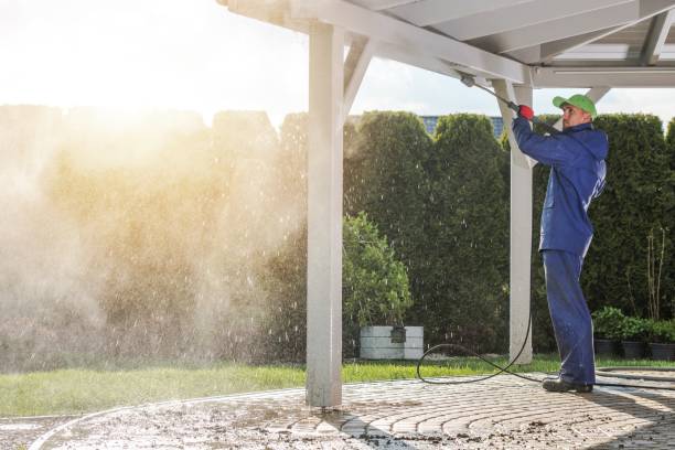 Best Gutter Cleaning  in Flippin, AR